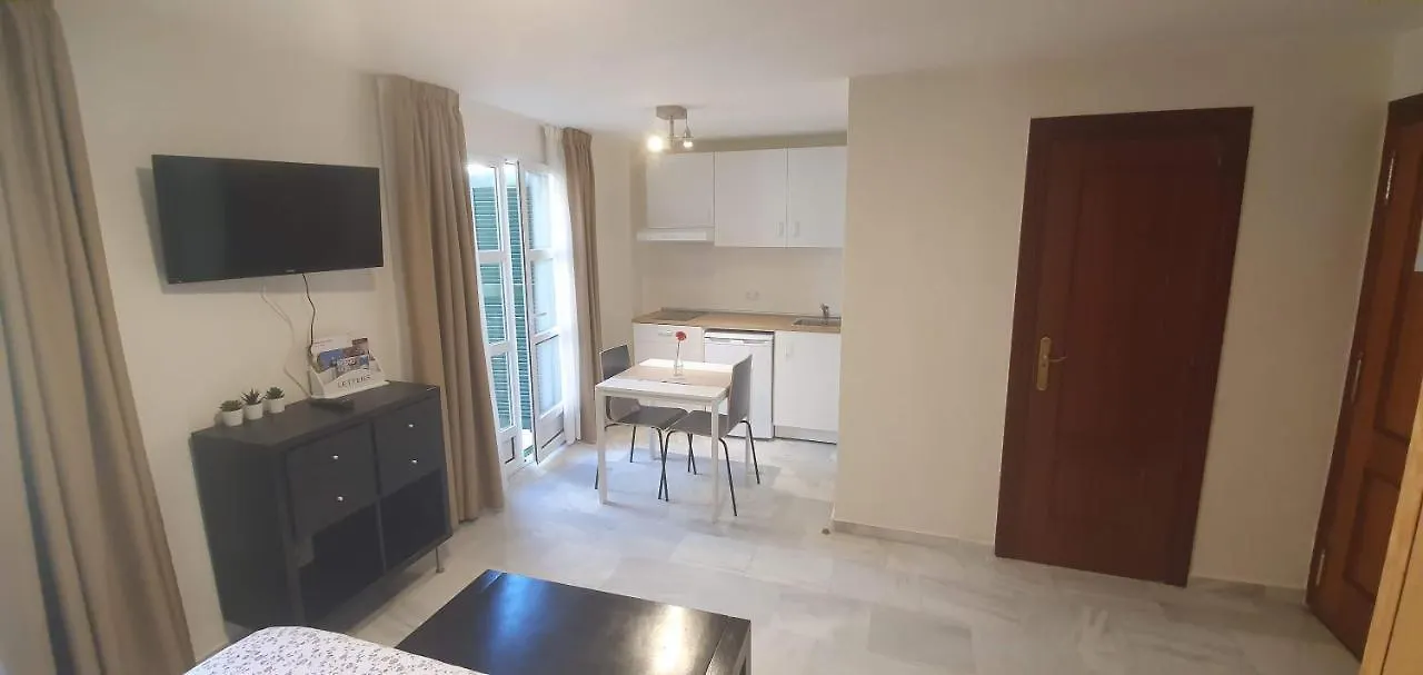Fan Flat Carreteria Apartment Malaga